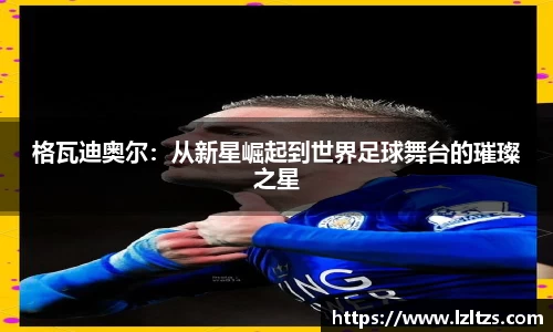 拉斯维加斯
